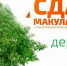 С 16 ноября проходит акция «Сдай макулатуру – Спаси дерево!» - Рузский район