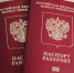 Сотрудники полиции задержали двух граждан Республики Молдова по подозрению в поделке документов - Рузский район
