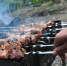Шашлыки в лесу могут обернуться штрафом - Красное знамя