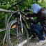 dsc07070_10.jpg - Красное знамя