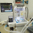 110047_218469eb2b6d4ebe89f273d841ad7dcc34366f44.jpg - Красное знамя