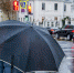 Gd9cr6W5NQ9I.jpg - Красное знамя