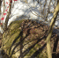 IMG-20210329-WA0006.jpg - Красное знамя