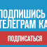 Рузских сельхозпроизводителей информируют о Бирже животных Московской области - РузаРИА