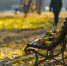 2021-10-25_09-30-19.png - Красное знамя