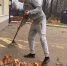 В Тучково прошел субботник - РузаРИА