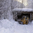 62c77296-23e1-4635-95a3-126145c8b22b.jpg - Красное знамя