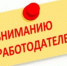 Работодателям – о субсидиях за трудоустройство молодежи - РузаРИА