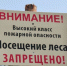 В Подмосковье введено ограничение на пребывание в лесах - Рузский городской округ