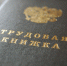 О трудоустройстве граждан, вынужденно покинувших территории Украины, ДНР и ЛНР - Рузский городской округ