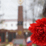 Лекция о поисковых отрядах пройдет на Городке в Рузе - Рузский городской округ
