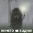 В Подмосковье наблюдается ухудшение видимости - РузаРИА