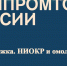 Жителям Рузского городского округа – о конкурсном отборе на получение субсидии на транспортировку продукции - РузаРИА