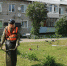 В Рузском округе приводят в порядок газоны - РузаРИА