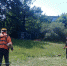 В Рузском округе косят траву на газонах - РузаРИА