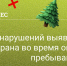 Более 60 нарушений выявила лесная охрана во время ограничения пребывания в лесах - РузаРИА