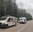 В Рузском округе обезвредили боеприпасы времен ВОВ - Рузский городской округ