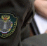 Ружанам – о месячнике сплочения военных коллективов - РузаРИА