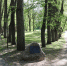 На Городке каждый найдет занятие по душе - Рузский городской округ