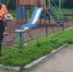 В Рузском округе косят траву - Рузский городской округ