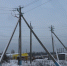 В Рузском округе ремонтируют электросети - РузаРИА