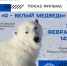 Ружанам расскажут о полярных медведях - Рузский городской округ