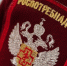 Ружанам  — о горячей линии по вопросам организации питания в общеобразовательных организациях - РузаРИА