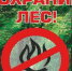 Ружане, соблюдайте правила пожарной безопасности в лесу! - РузаРИА