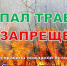Ружан предупреждают: пал травы запрещен! - РузаРИА