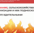 Внимание, КФХ Подмосковья! Будьте бдительными! - Рузский городской округ