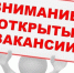 Ружанам — о вакансиях - Рузский городской округ