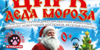 В Тучково приглашают в цирк деда Мороза - РузаРИА