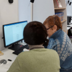 В Рузе прошло занятие «Азбука интернета»
