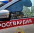 Открыт прием кандидатов на службу в Росгвардию - РузаРИА
