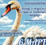В Тучково приглашают на мастер-класс «Лебедь в отражении: создаем живописный шедевр» - РузаРИА