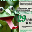 В Тучково приглашают на мастер-класс «Создаем яркую аппликацию лягушонок» - РузаРИА