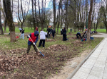 В Рузском округе прошел общеобластной субботник