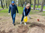 Ружане активно участвовали в субботнике на Городке
