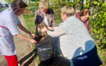 Сотрудники Рузской больницы приняли участие во Всероссийском субботнике