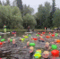 Международный заплыв Swimcup объединил более 500 спортсменов - Regions.Ru