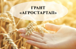 Стартует прием документов для участия в конкурсе по предоставлению грантов «Агростартап»