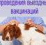 В Рузском округе пройдут выездные вакцинации животных против бешенства - Рузский городской округ