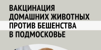 В парке «Городок» состоится мероприятие по чипированию, регистрации и вакцинации домашних животных - Рузский городской округ