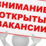 Рузский мясокомбинат приглашает на работу - РузаРИА