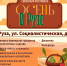 В Рузе пройдет семейный фестиваль - Рузский городской округ