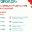 Парк «Городок» приглашает на мероприятия - РузаРИА