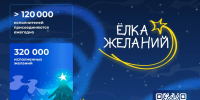Любой желающий может помочь исполниться новогодним мечтам - РузаРИА