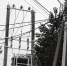 Плановое отключение электроэнергии в Рузском муниципальном округе - Рузский городской округ