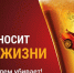Госавтоинспекция Рузского округа напоминает о недопустимости нахождения за рулём в нетрезвом состоянии - Рузский городской округ