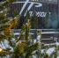 В «Городке» 2 января покажут концертную программу - Regions.Ru